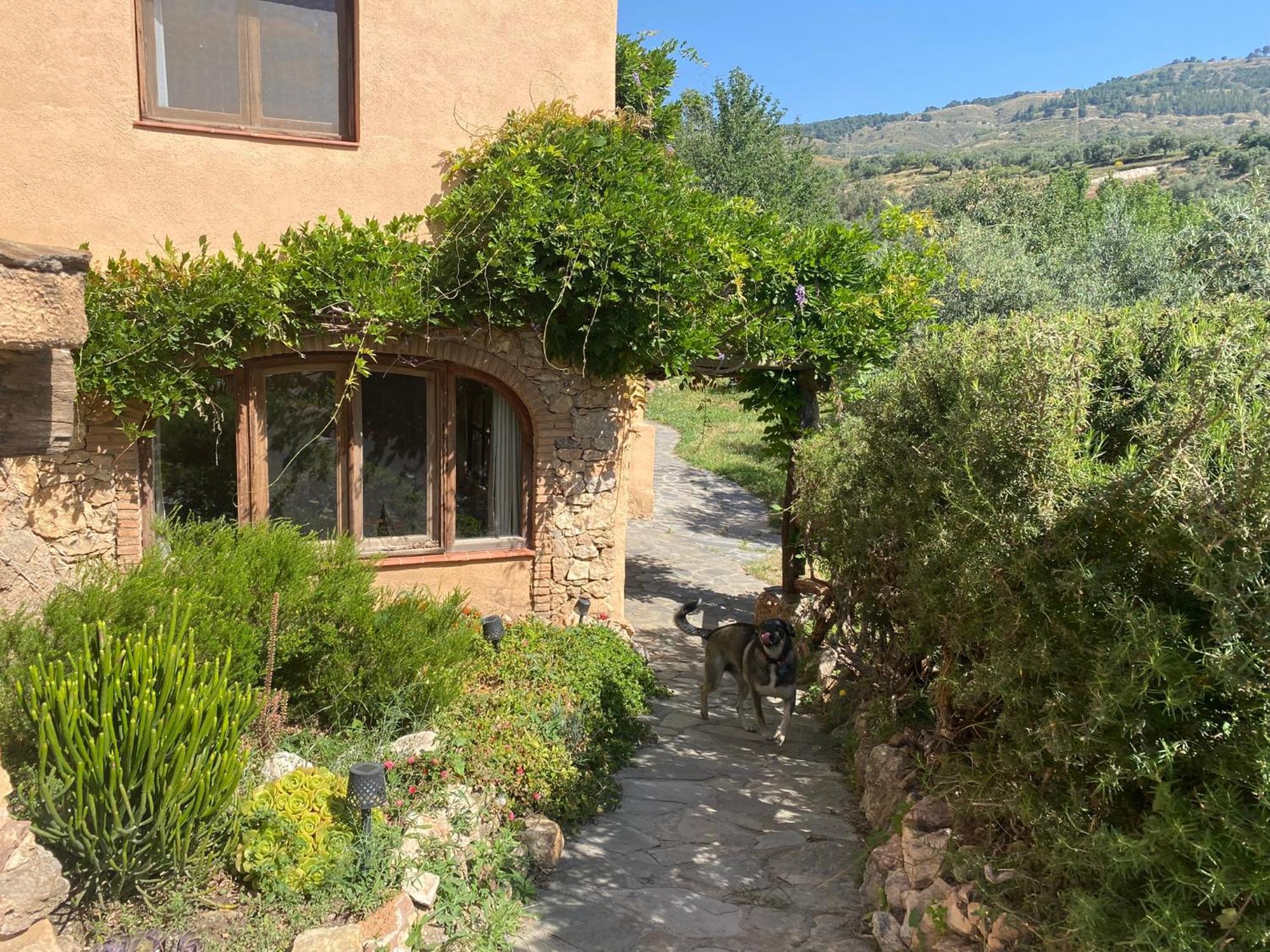 Rustic Apartment In Lanjarón Exterior foto